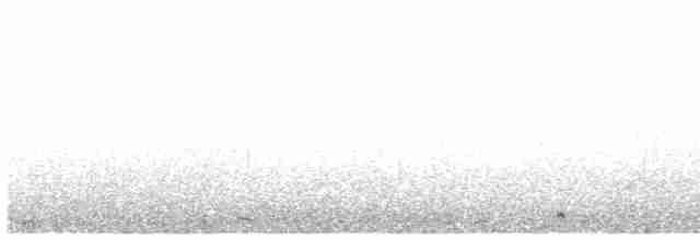 Серогрудый зобатый бегунок - ML615677802