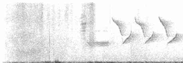 Длиннохвостый крапивник - ML615680012