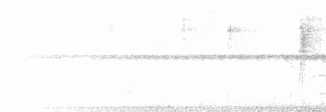 Лускар ультрамариновий - ML615681223
