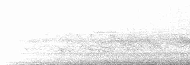 gråflanketrosteskvett - ML615681985