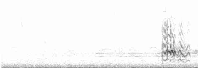 Длинноклювая которра - ML615683696