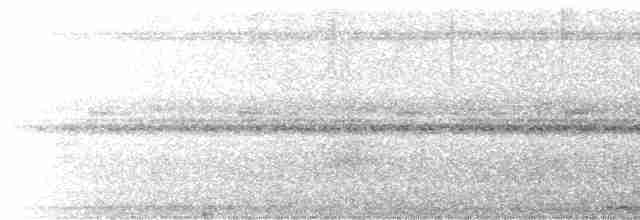 Augennachtschwalbe - ML615687444