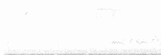 Doğulu Mavi Ardıç - ML615689200
