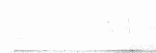 Tórtola Oscura - ML615689211