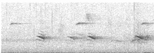 Пестрогорлая юхина - ML615691785