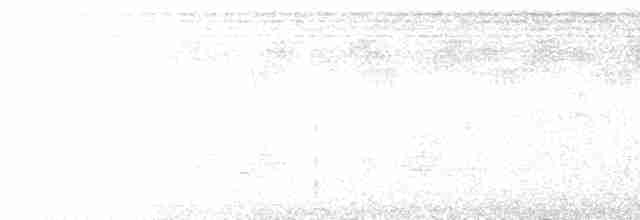 Gonolek à ventre blanc (sticturus) - ML615693015