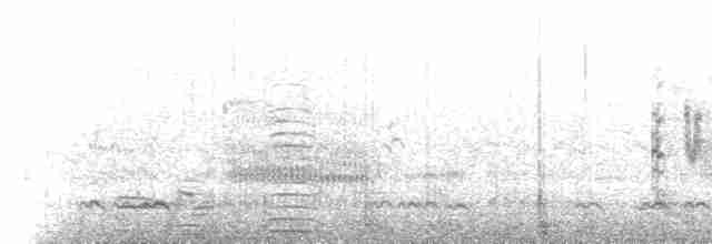 Cisne Trompetero - ML615693900