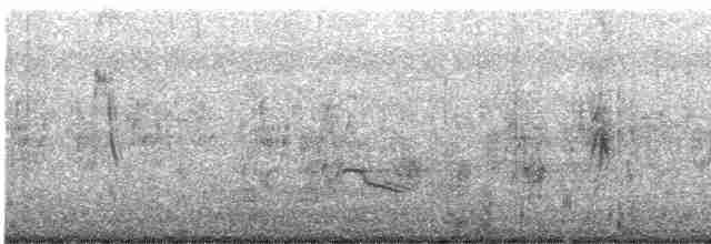 Great Egret - ML615695550