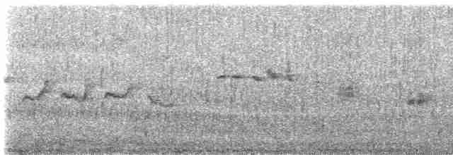 Mirlo Acuático Norteamericano - ML615700467