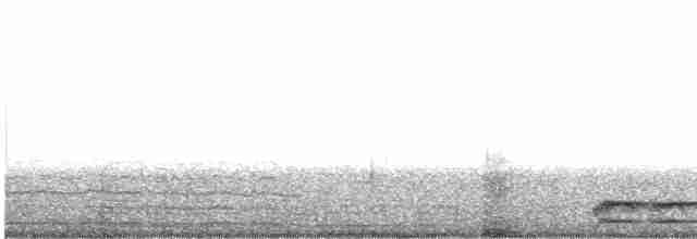 Kara Kasapkuşu - ML615701618