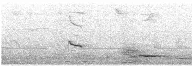 Капская белоглазка (virens) - ML615701621