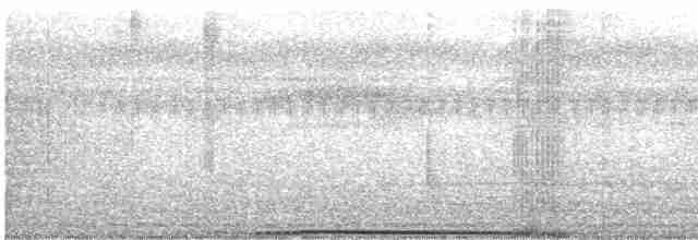 Kara Kasapkuşu - ML615701924