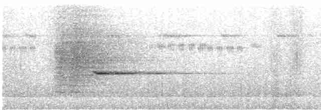 Сверкающий дронго (carbonarius) - ML615701979