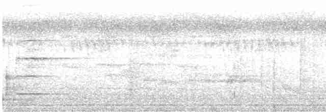 Сверкающий дронго (carbonarius) - ML615701981