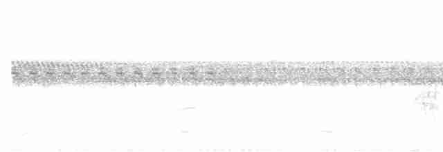 Kestane Karınlı Lacivert Öfonya - ML615703091