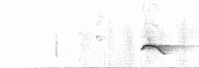 Black-throated Shrike-Tanager - ML615703675