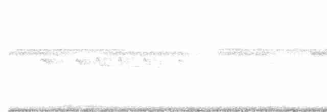 Zimtbauch-Ameisenfänger - ML615706065