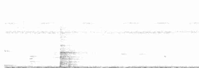 Weißbinden-Ameisenvogel - ML615706108