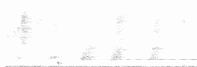 Short-tailed Antthrush - ML615706133