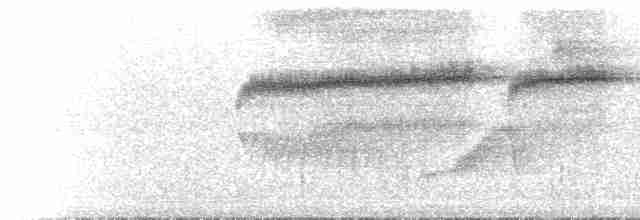 Augenring-Breitschnabeltyrann - ML615706251
