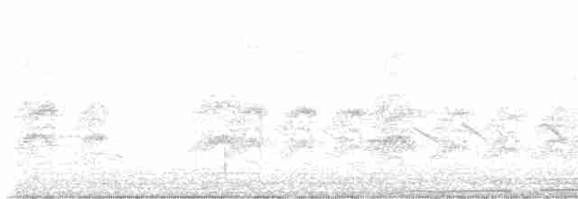 Large Gray Babbler - ML615706670