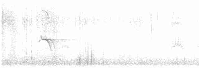 Evening Grosbeak (type 1) - ML615707798