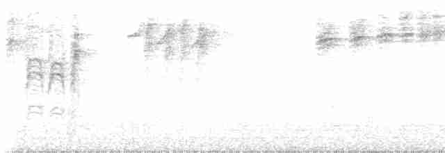 Kestane Karınlı Baştankara - ML615707854