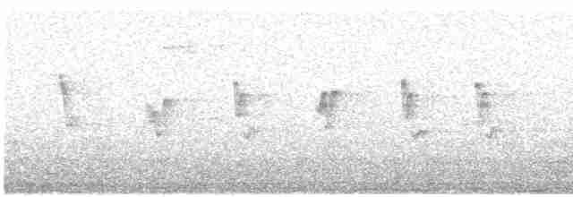 עלווית חורף קנרית - ML615708788