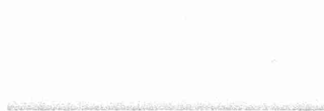 gransanger (tristis) (sibirgransanger) - ML615709939