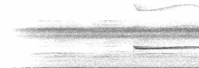 キタツグミマイコドリ - ML615710004