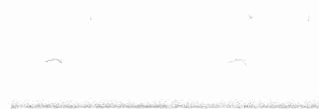gransanger (tristis) (sibirgransanger) - ML615710027