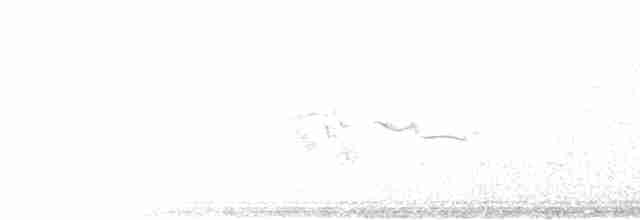 Ботсванский жаворонок - ML615710237