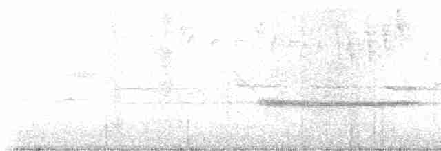Turuncu Ardıç - ML615710780