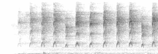 Тиран-карлик жовточеревий - ML615715208