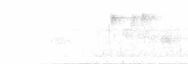 gulbuktyrannulett - ML615715220