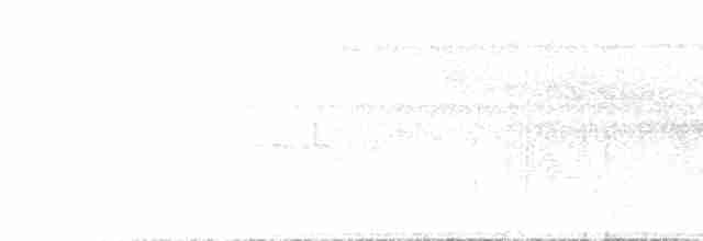 Мухоїд світлогорлий - ML615715223