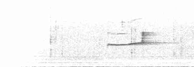 Тиранчик-тонкодзьоб північний - ML615715225