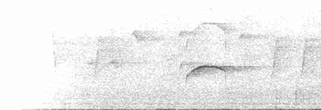 Тиран-карлик жовточеревий - ML615715226