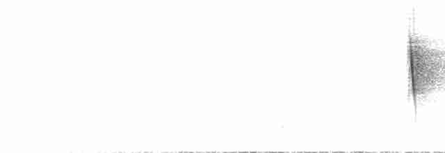 Чешуйчатогрудый саблекрыл - ML615715233