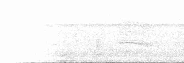 Якамара рудохвоста - ML615715235