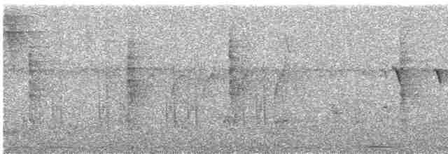 Narina Trogon - ML615715302