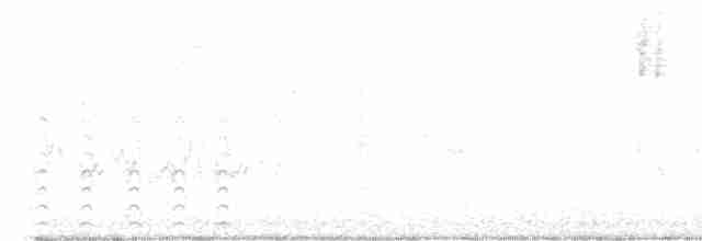 Chara de Steller (grupo stelleri) - ML615716700
