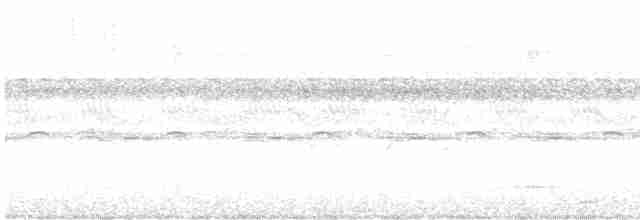 holub krátkozobý - ML615719285