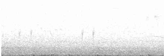 "Шишкар ялиновий (Douglas-fir, або тип 4)" - ML615720275