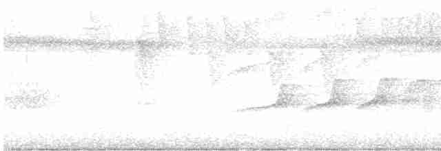 Weißkehl-Ameisenvogel - ML615720436