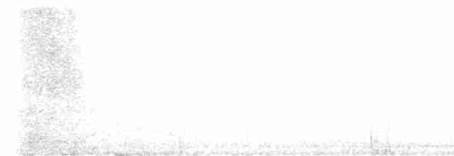 datlík smrkový (ssp. bacatus) - ML615721923