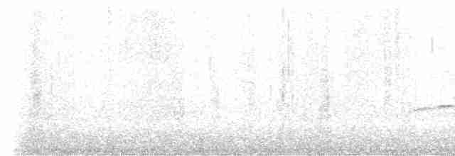 skiferkronemaurpitta (nana gr.) - ML615722255