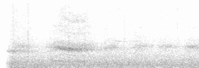 Гребенечуб андійський - ML615722323