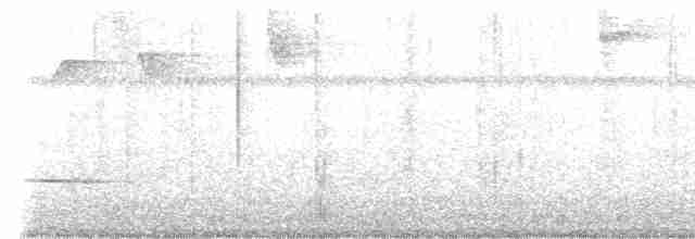 Streifenfaulvogel - ML615722357