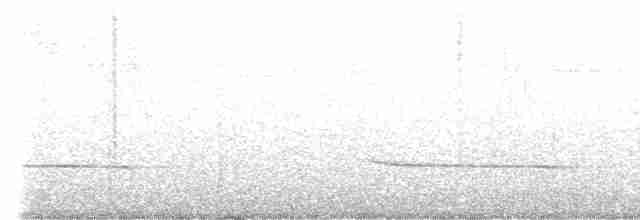 Ak Kulaklı Koca Vireo (mikettae) - ML615722402